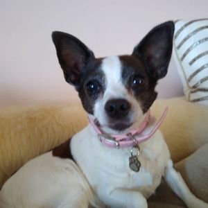 Meet your Posher, Karen